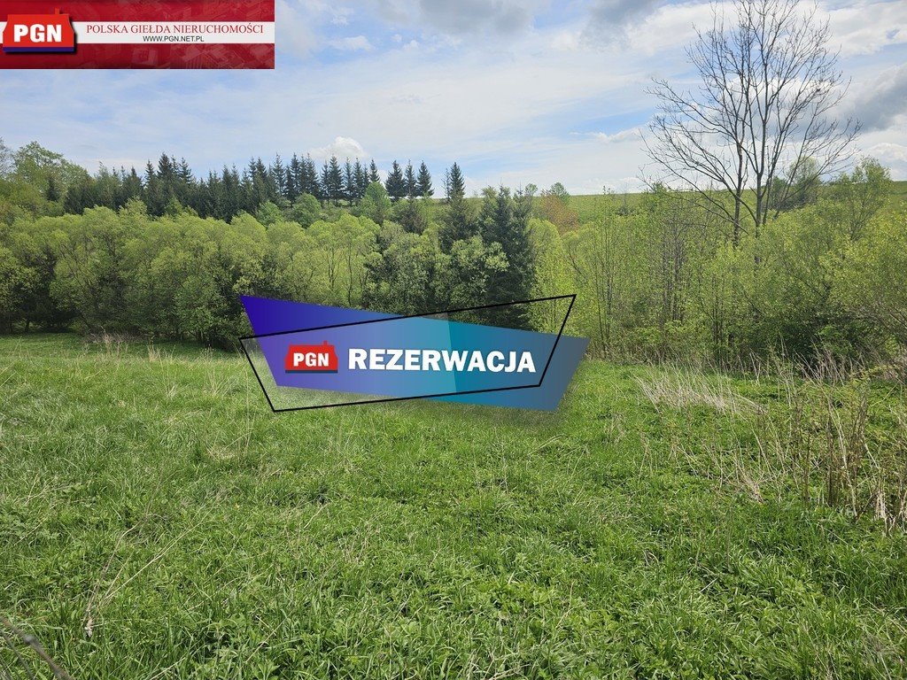 Działka budowlana na sprzedaż Łężyce  5 200m2 Foto 1