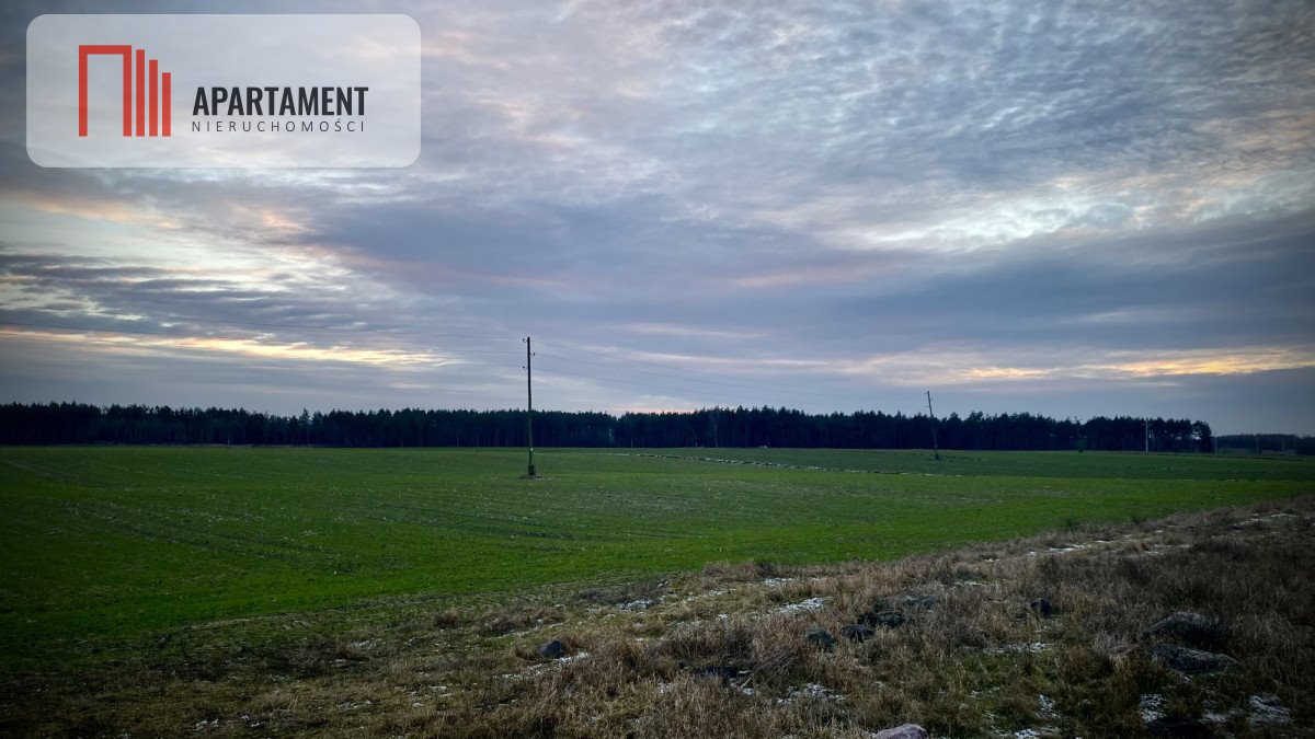 Działka gospodarstwo rolne na sprzedaż Józefkowo  38 243m2 Foto 3