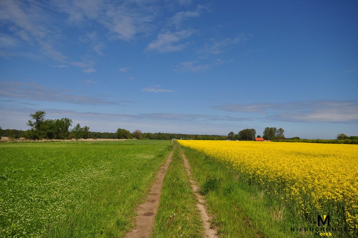 Działka budowlana na sprzedaż Kładno, Pleśna  3 000m2 Foto 11