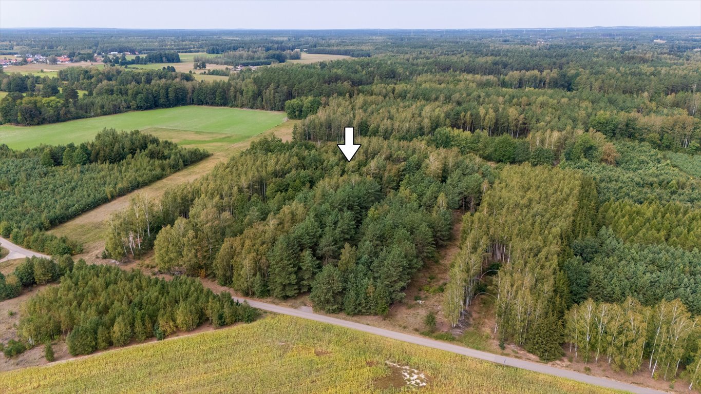 Działka budowlana na sprzedaż Wały  3 928m2 Foto 4