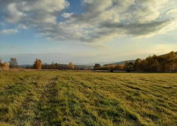 Działka inna na sprzedaż Nowa Ruda  10 000m2 Foto 2