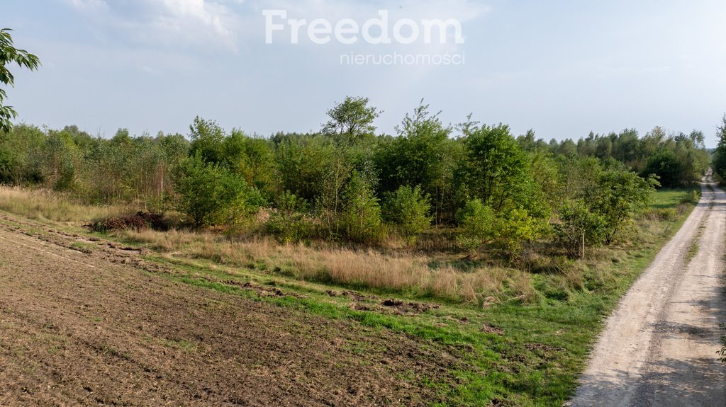 Działka inna na sprzedaż Częstochowa, Łomżyńska  11 473m2 Foto 19