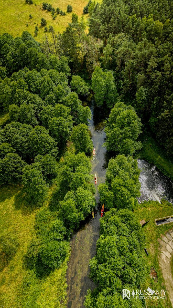 Działka budowlana na sprzedaż Wojtal  3 130m2 Foto 7