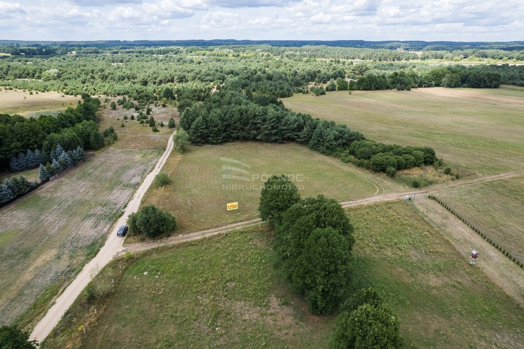 Działka budowlana na sprzedaż Czartoria  3 000m2 Foto 2