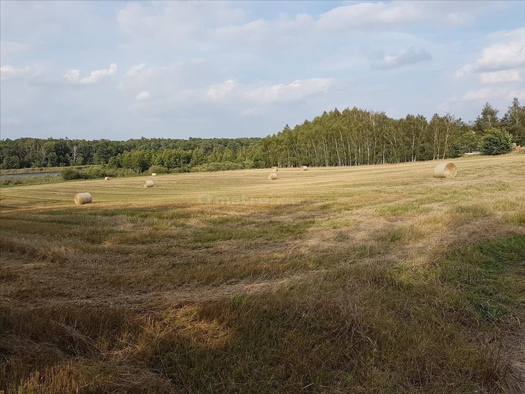 Działka rolna na sprzedaż Wielka Wieś, Stęszew  9 654m2 Foto 1