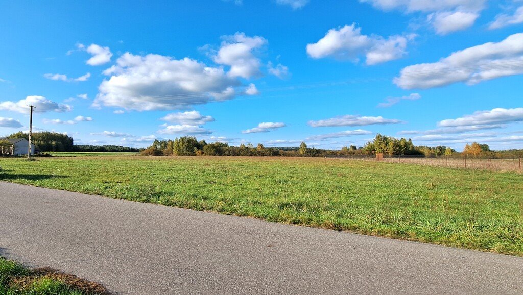 Działka inna na sprzedaż Brzeźnica Książęca  3 000m2 Foto 5