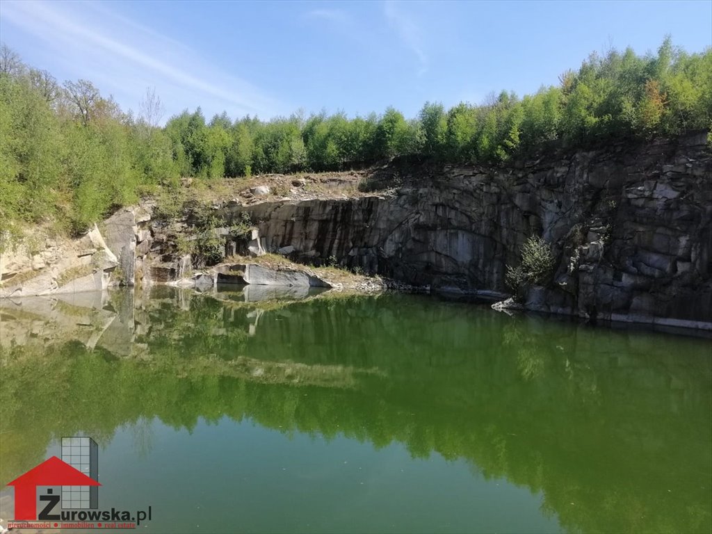 Działka inna na sprzedaż Czechy, Lipova  40 659m2 Foto 1