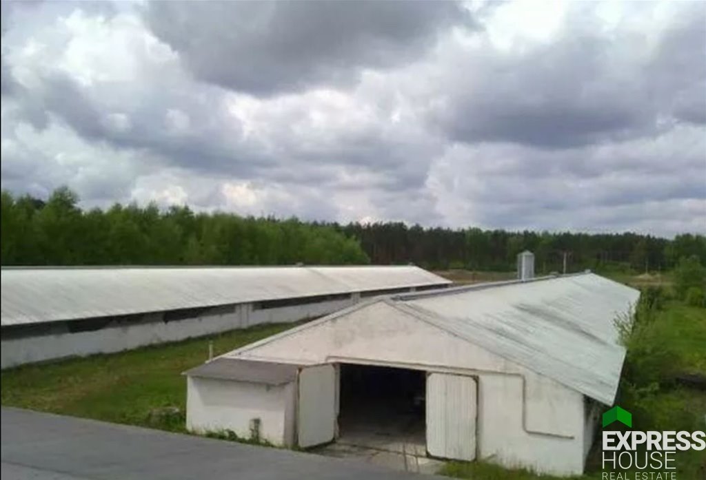 Lokal użytkowy na sprzedaż Skwierzyna, Spokojna  5 200m2 Foto 2