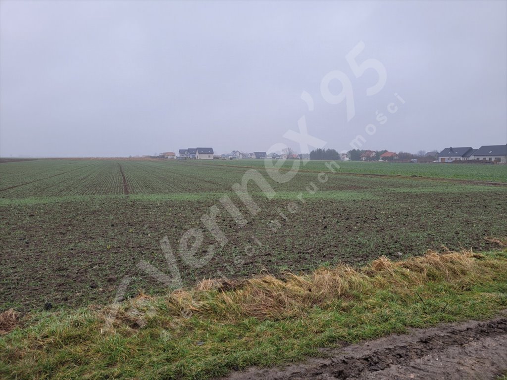 Działka rolna na sprzedaż Smardzów  40 000m2 Foto 5
