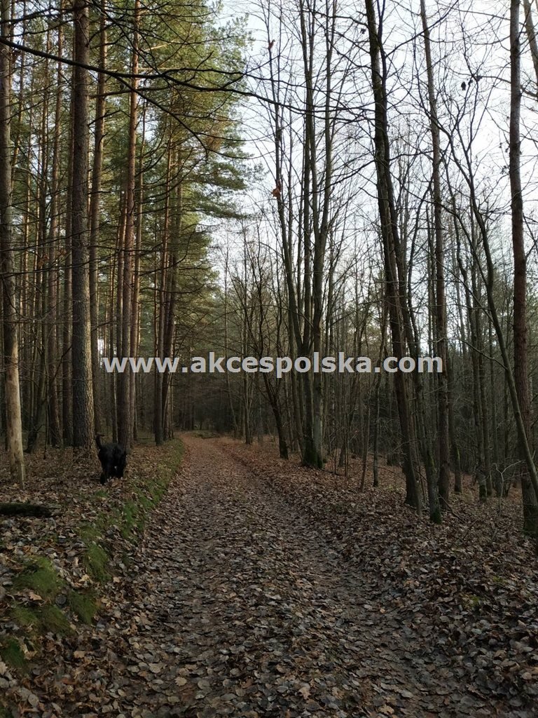 Dom na sprzedaż Szczytno, Nowowarszawska  300m2 Foto 4