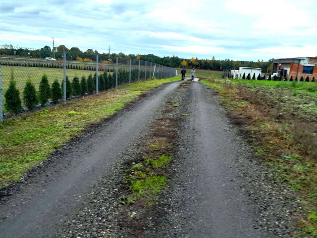 Działka budowlana na sprzedaż Łopuchowo  1 003m2 Foto 1