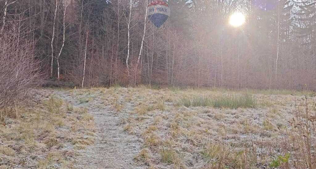 Działka budowlana na sprzedaż Kozy  1 994m2 Foto 3