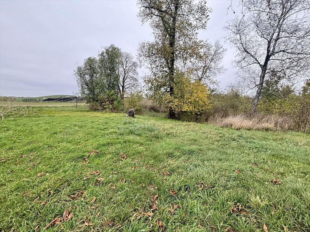 Dom na sprzedaż Malbork, Lipowiec 23  53m2 Foto 2