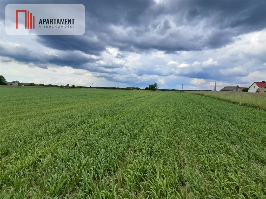 Działka gospodarstwo rolne na sprzedaż Bysław  3 000m2 Foto 13