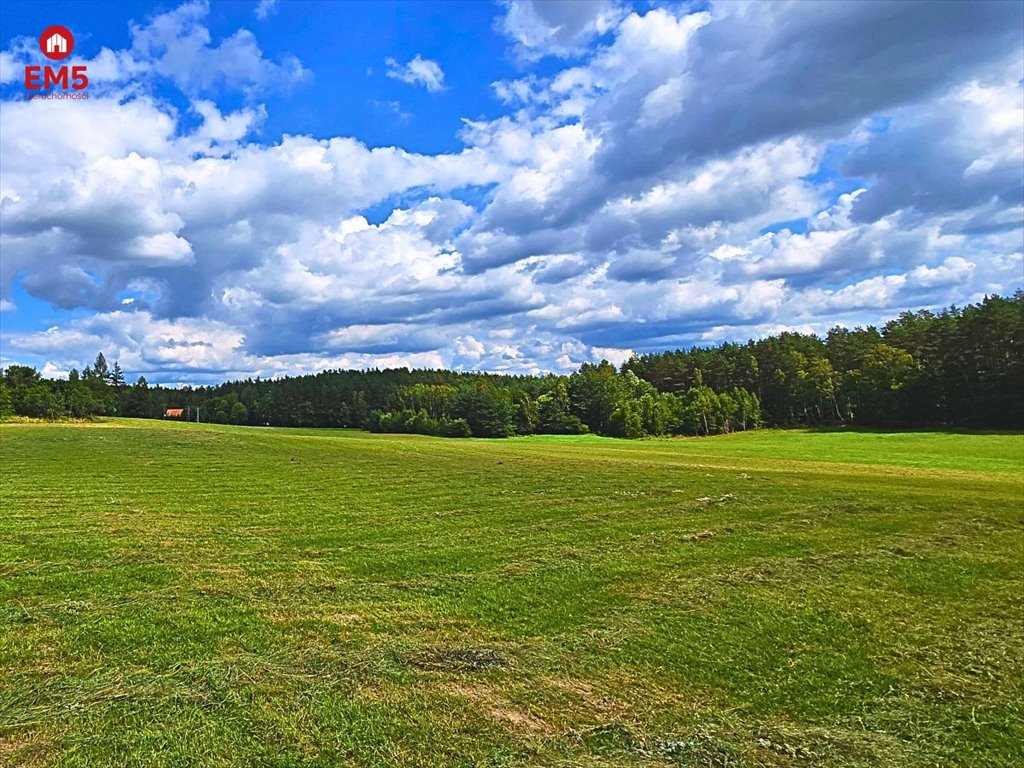 Działka inna na sprzedaż Olsztynek  1 600m2 Foto 3