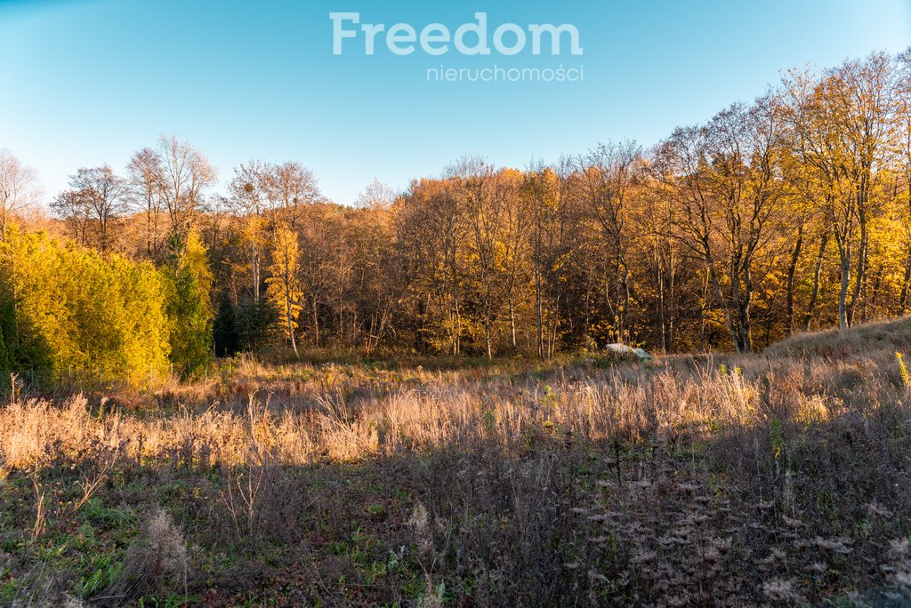 Działka budowlana na sprzedaż Kłodawa, Gdańska  4 251m2 Foto 17