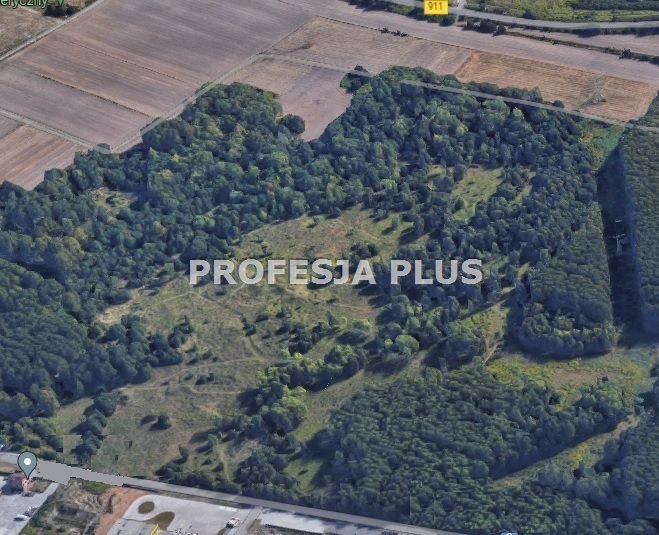 Działka inwestycyjna 1 ha w Radzionkowie, plan produkcyjny Radzionków  10 000m2 Foto 1