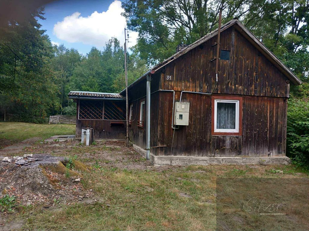 Działka 27 200 m² z domkiem, lasem i warunkami zabudowy Popielarnia  27 200m2 Foto 1