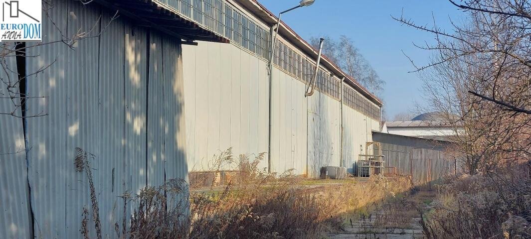 Lokal użytkowy na sprzedaż Radzionków, Objazdowa  1 925m2 Foto 10