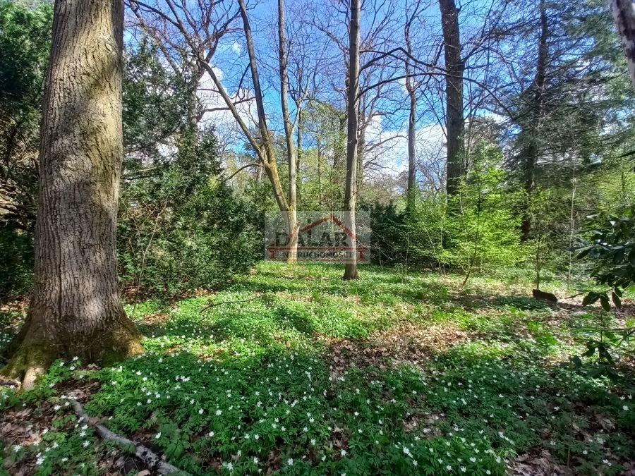 Działka budowlana na sprzedaż Piaseczno, Zalesie Dolne  2 500m2 Foto 3