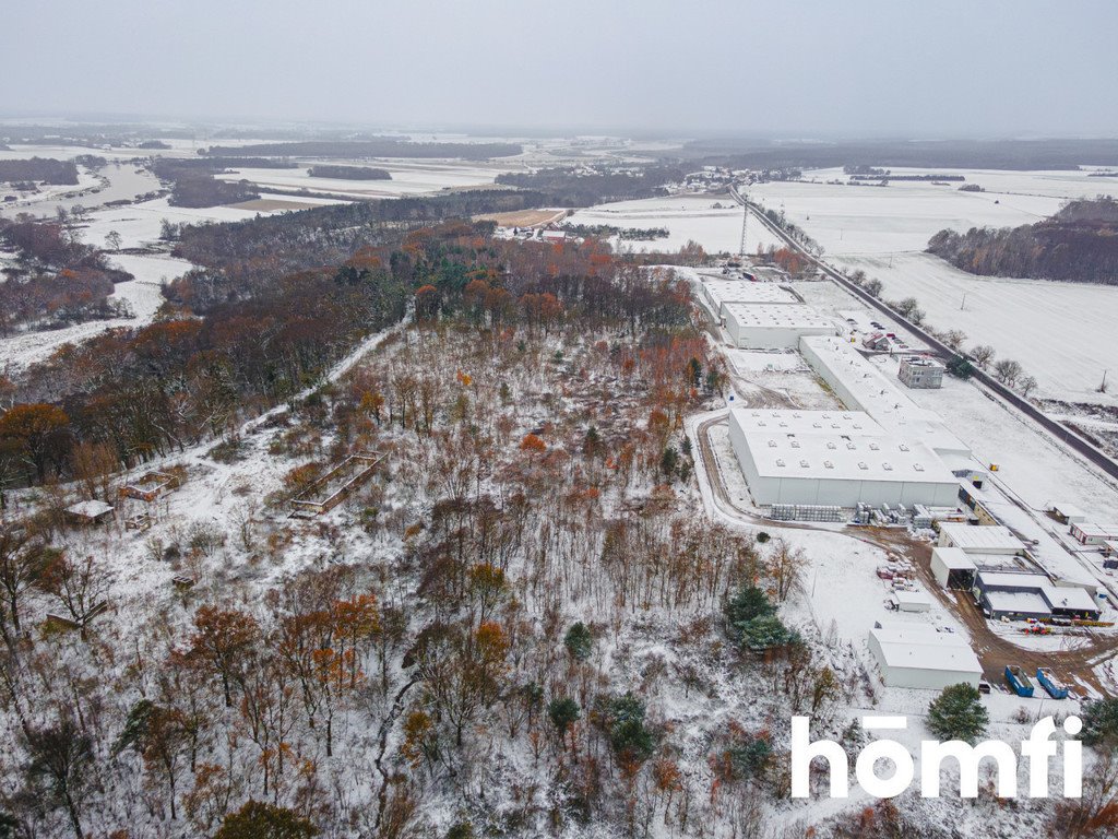 Działka komercyjna na sprzedaż Pogalewo Wielkie  16 700m2 Foto 3