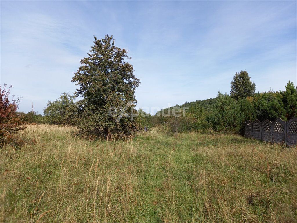 Działka budowlana na sprzedaż Wierzchowisko, Kasztanowa  1 230m2 Foto 3