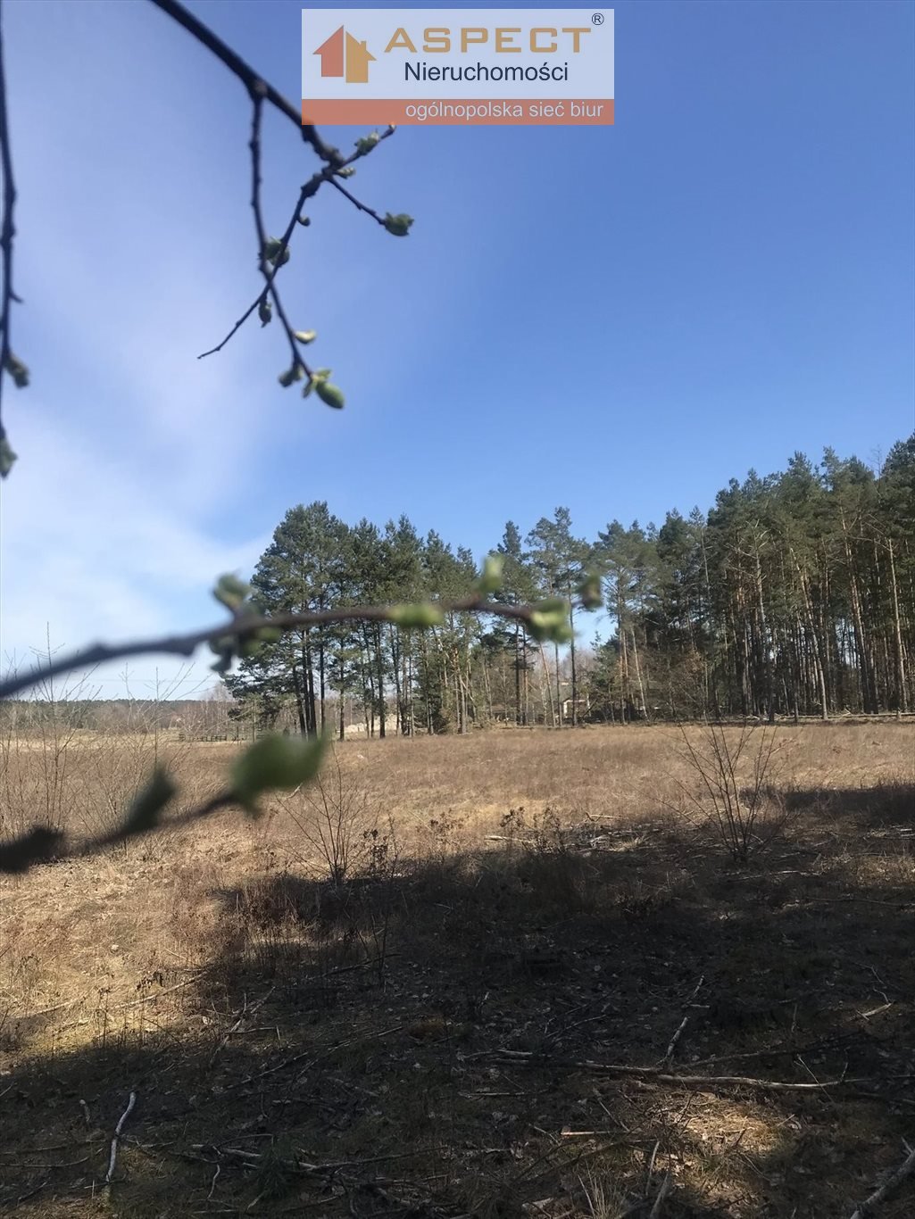 Działka budowlana na sprzedaż Skępe, Ławiczek  3 500m2 Foto 6