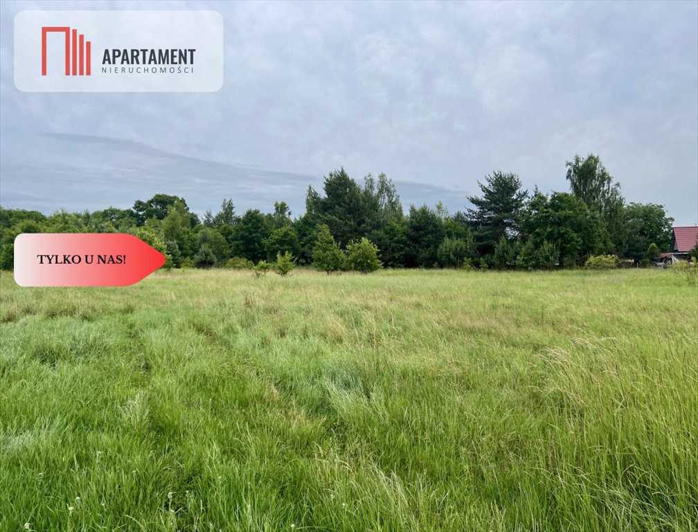 Działka budowlana 6373 m² w Lubiążu – idealna pod deweloper! Lubiąż  6 373m2 Foto 1