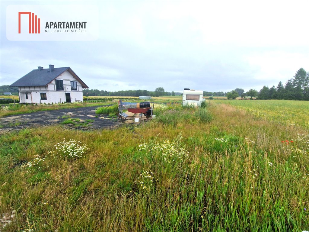 Działka gospodarstwo rolne na sprzedaż Krojanty  1 507m2 Foto 3