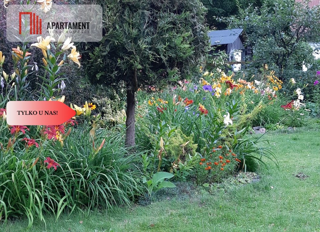 Działka rekreacyjna na sprzedaż Bożenkowo  600m2 Foto 7