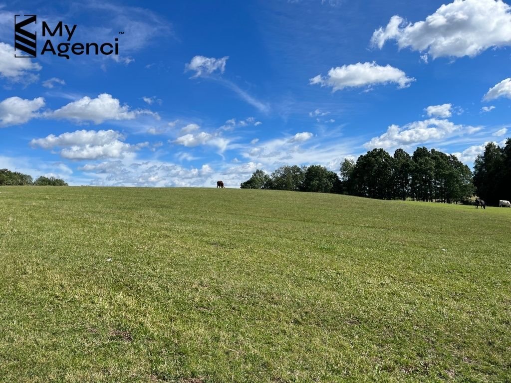 Działka budowlana na sprzedaż Łebno, Kartuska  1 003m2 Foto 5