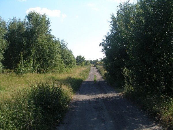 Działka nad jeziorem w Parlino 1,1 ha, media, lasy Parlino  11 000m2 Foto 1