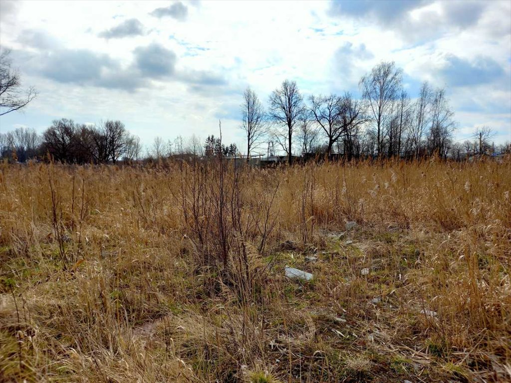 Działka inna na sprzedaż Strzegom  100m2 Foto 5