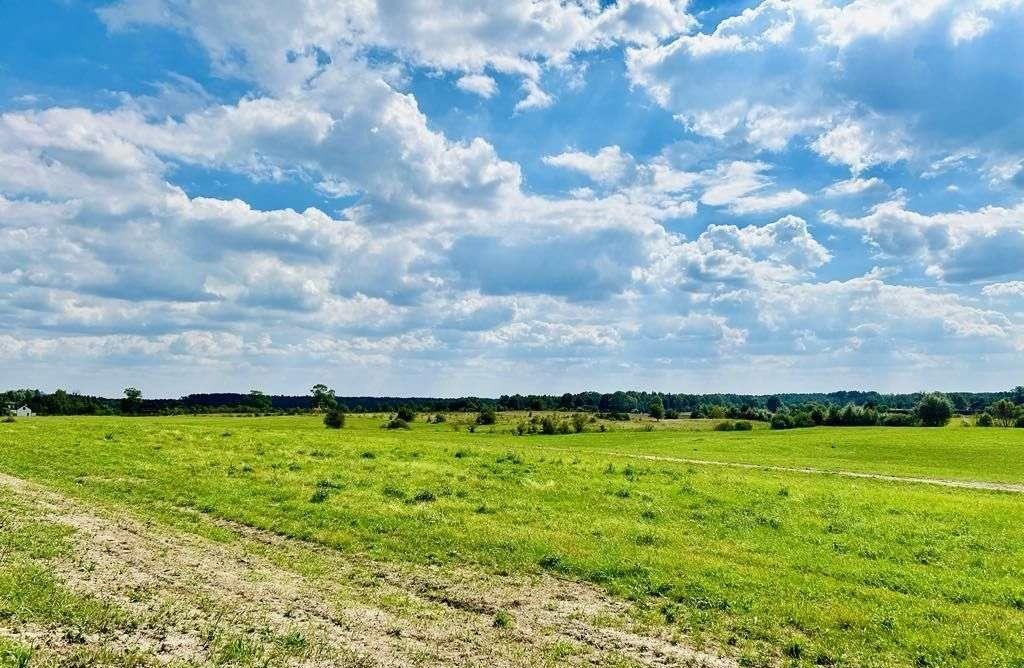 Działka budowlana na sprzedaż Brajniki  1 000m2 Foto 3