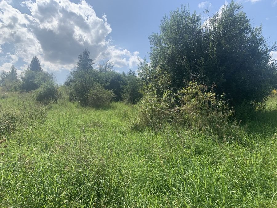 Zapraszam do zakupu działek 3996 m² w Gromie, blisko jezior Grom  3 996m2 Foto 1