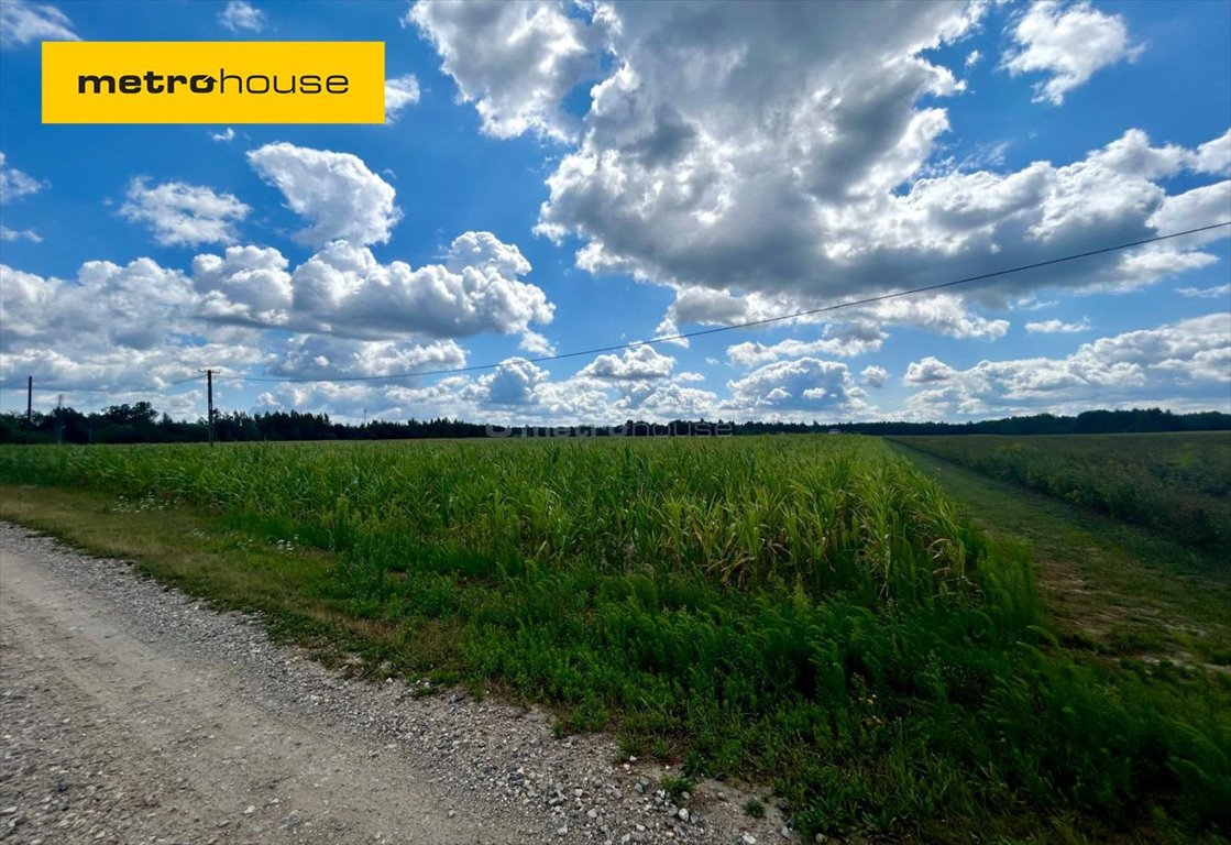 Działka inna na sprzedaż Powązki  5 800m2 Foto 1