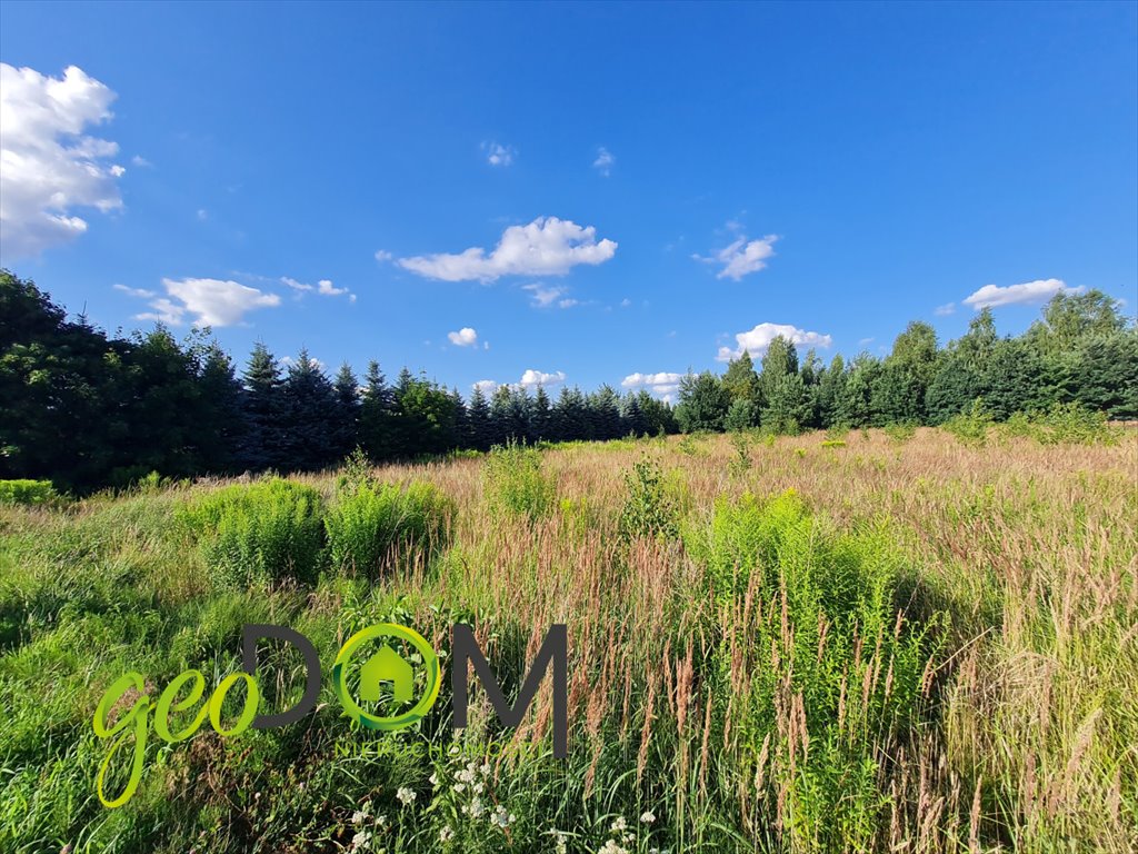 Działka budowlana na sprzedaż Niemce, Ignacego Bonawentury Budnego  2 769m2 Foto 10