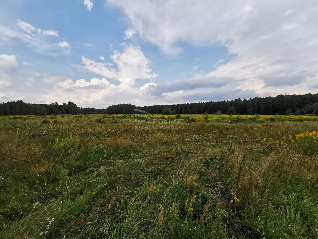 Działka rolna na sprzedaż Królowe Stojło  8 500m2 Foto 16