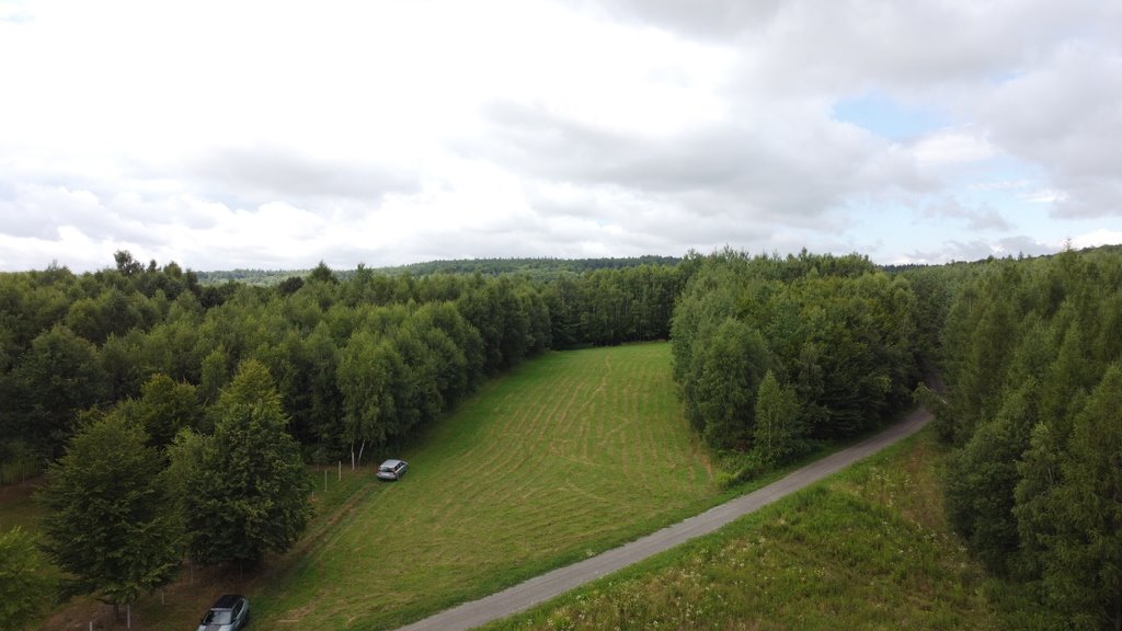 Działka budowlana na sprzedaż Nowy Borek  8 060m2 Foto 2