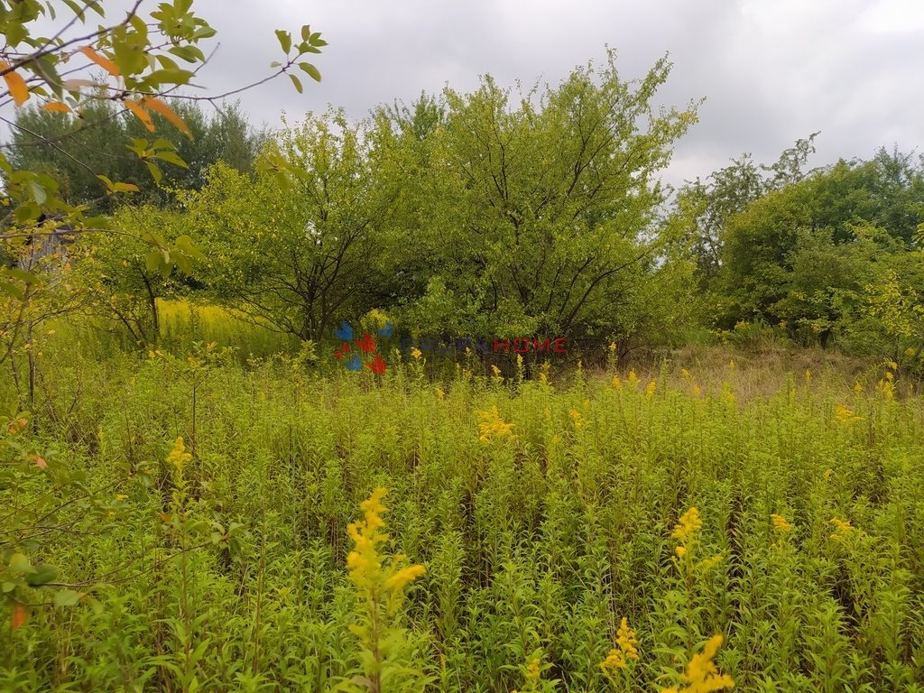 Działka budowlana na sprzedaż Kajetany  1 328m2 Foto 5