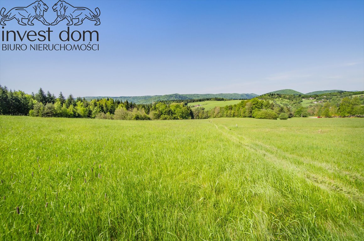 Działka budowlana na sprzedaż Uście Gorlickie  3 300m2 Foto 7