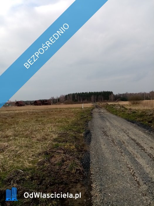 Działka budowlana na sprzedaż Niwiska  5 131m2 Foto 4