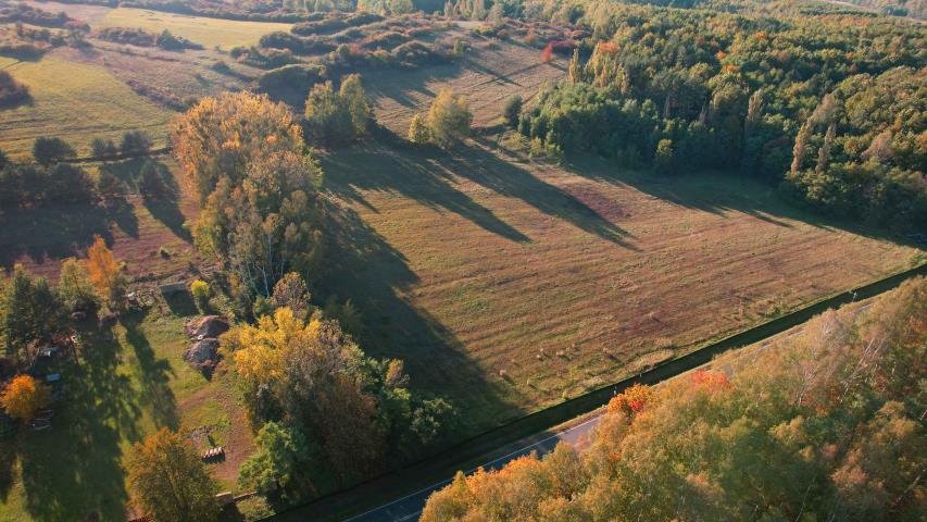 Działka budowlana na sprzedaż Góra Siewierska  615m2 Foto 6