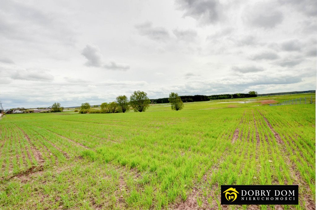 Działka budowlana na sprzedaż Zawyki  1 000m2 Foto 4