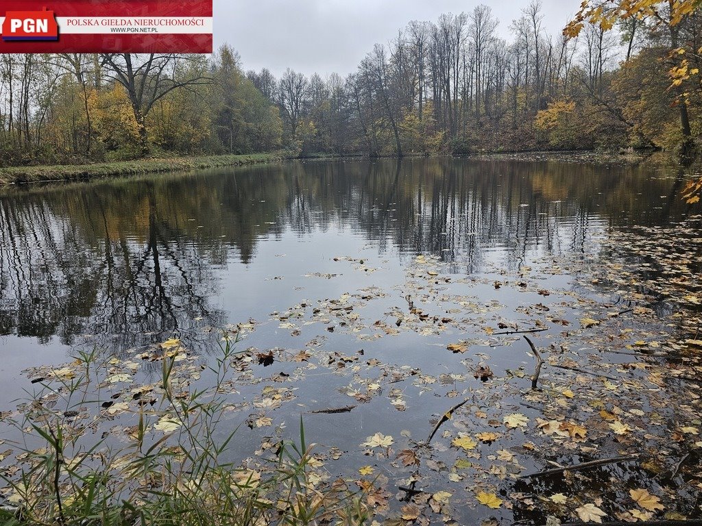 Dom na sprzedaż Międzylesie  500m2 Foto 14