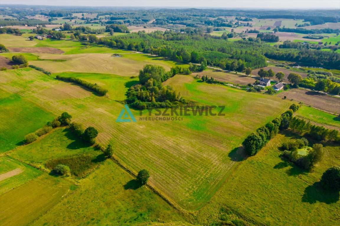 Działka rolna na sprzedaż Grabowo Kościerskie  64 386m2 Foto 6