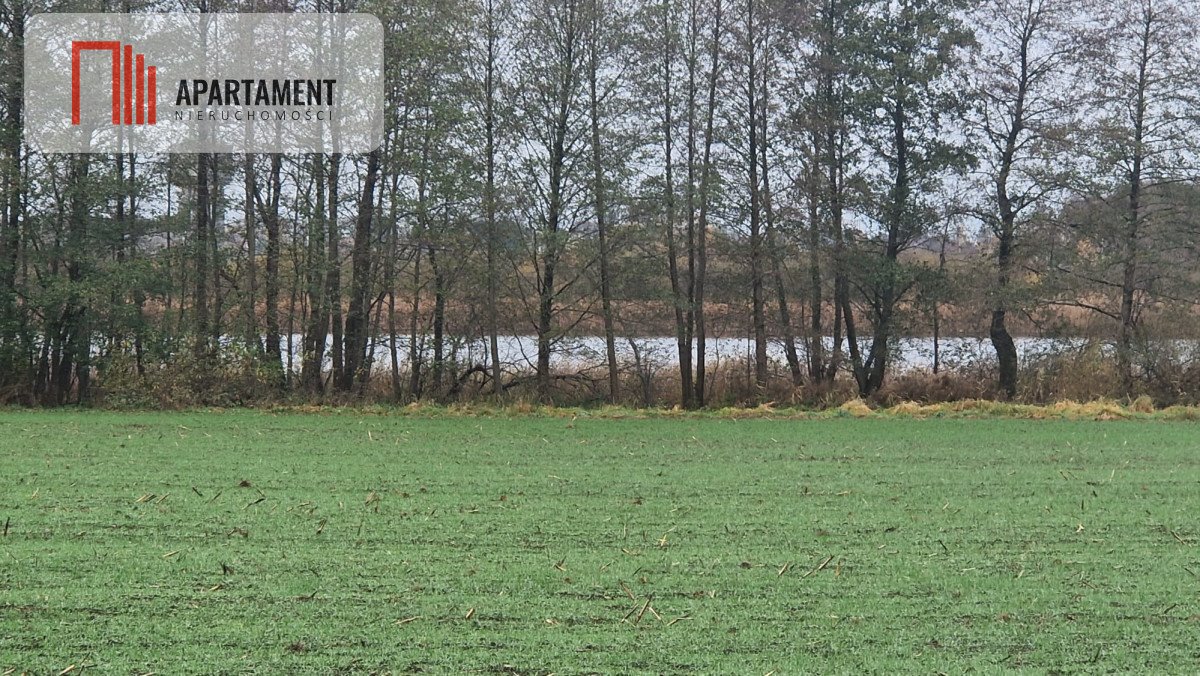Na sprzedaż działka nad jeziorem z linią brzegową 54m Jeżewo, Lipienki  4 000m2 Foto 1