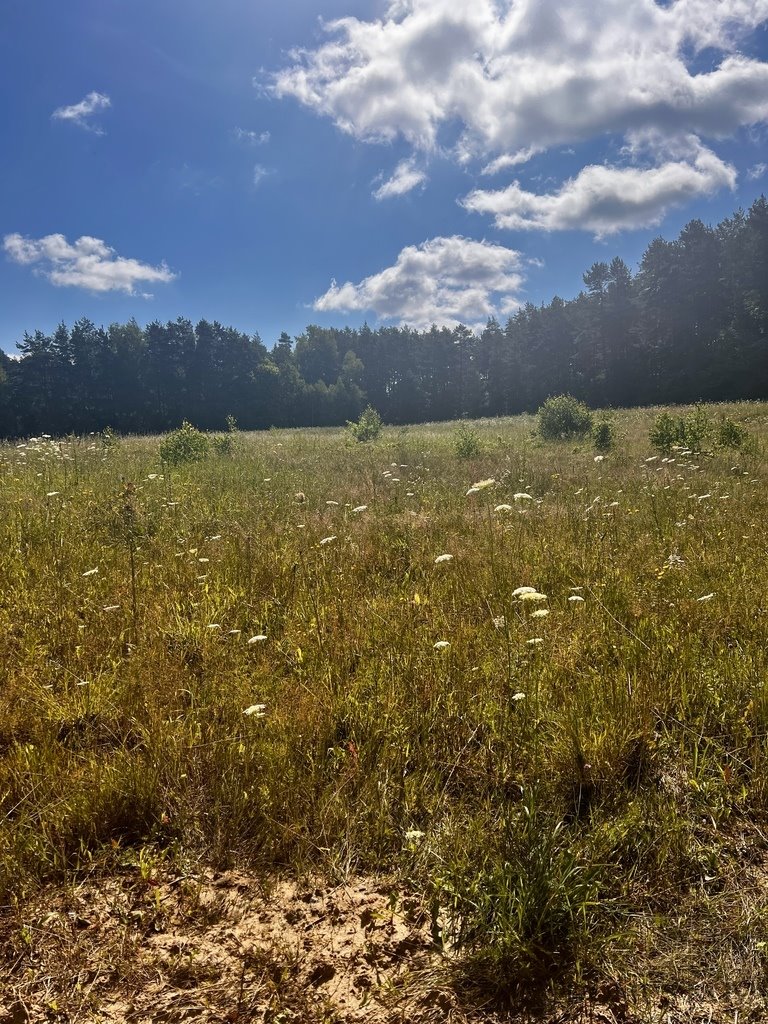 Działka budowlana na sprzedaż Unieszewo  1 275m2 Foto 2