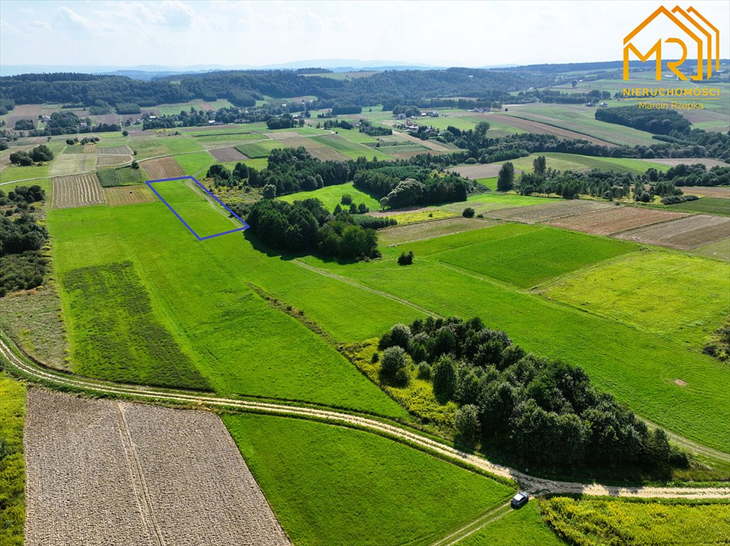 Działka inna na sprzedaż Szerzyny  10 100m2 Foto 6