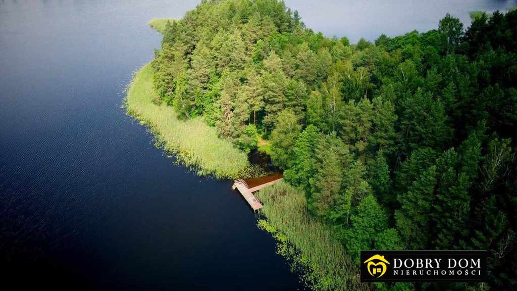 Działka rolna na sprzedaż Jeziorki  3 000m2 Foto 3